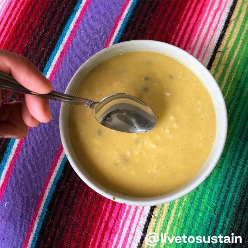 Kabocha Congee Soup in a white bowl with a silver spoon on a multi colored blanket taken by live to sustain.