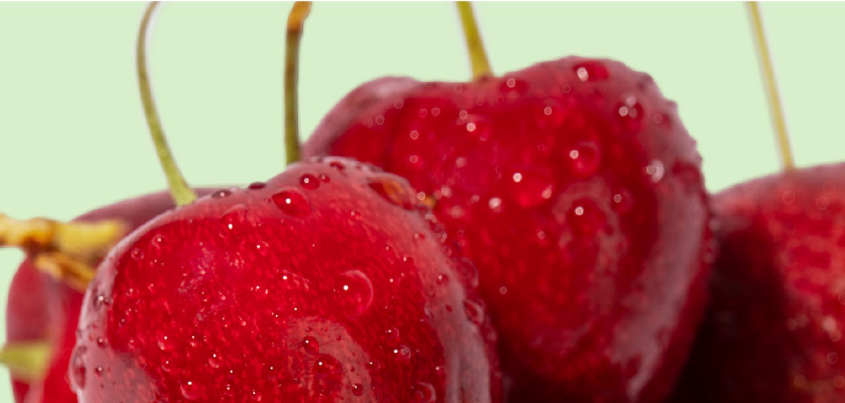 A close-up of 3 cherries, showing the top half of the fruits and bottom half of the stems