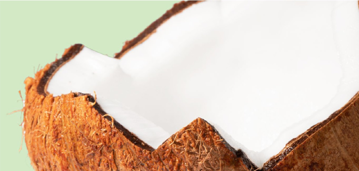 A coconut that that been cut in half. The border of the cut is a jagged pattern.