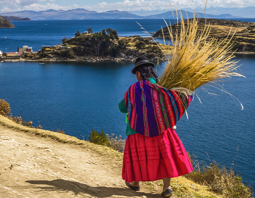 Woman walking with quinoa on her back alongside Lake Titicaca in Peru. 